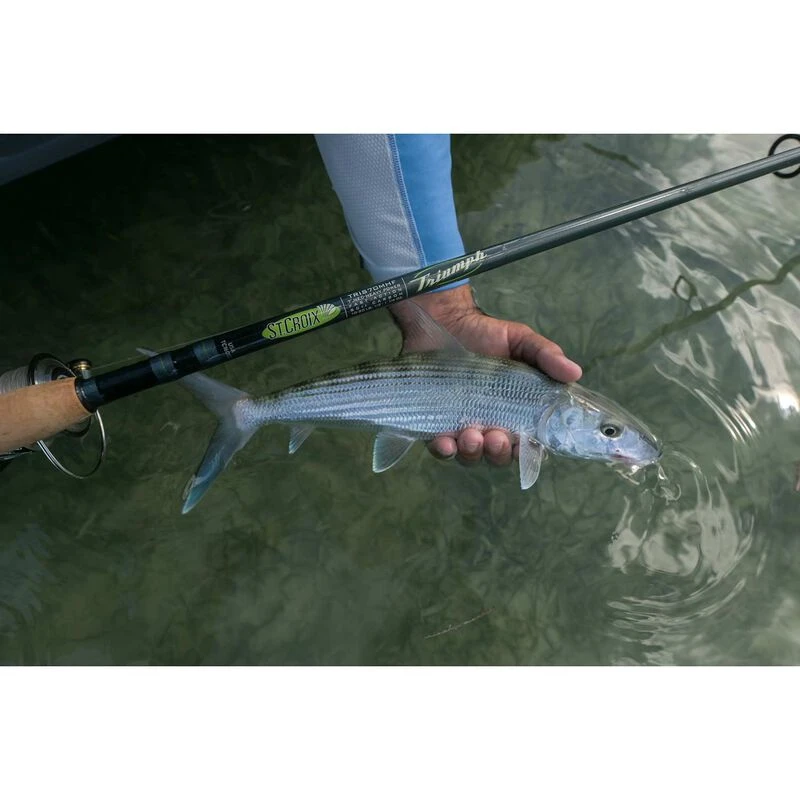 7' Triumph Inshore Spinning Rod, Medium Heavy Power 9 7' Triumph Inshore Spinning Rod, Medium Heavy Power - Image 7