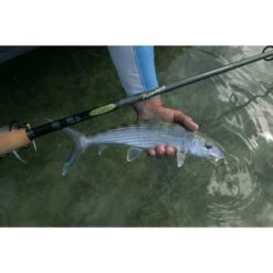 7'6" Triumph Inshore Spinning Rod, Medium Power 17 7'6" Triumph Inshore Spinning Rod, Medium Power -St. Croix Store 20452587 7