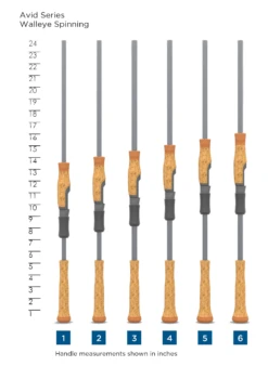 AVID SERIES WALLEYE SPINNING -St. Croix Store SCR HandleChart AvidSeriesWalleyeSpinning